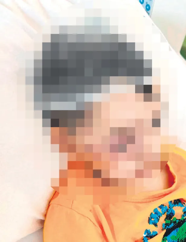 sokak-kopegi-vahseti-bitmiyor-adanada-patili-dostlar-guzellik-yarismasinda-3-yasindaki-minik-saldirinin-kurban-1652561634906.jpg Sokak köpeği vahşeti bitmiyor! Adana’da Patili Dostlar Güzellik Yarışması'nda 3 yaşındaki minik saldırının kurbanı oldu-2