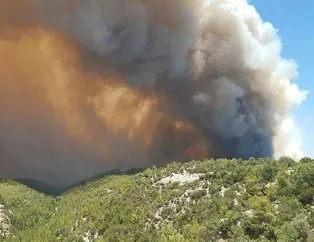 Antalya Manavgat’ta yangın felaketi!