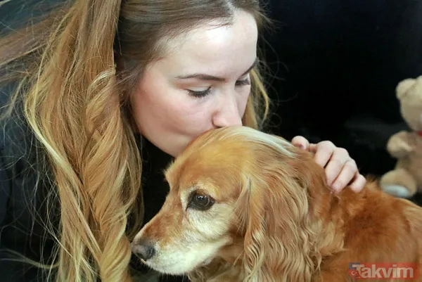 Asiye Ateş'ten sonra bir pitbull dehşeti daha! Dehşet anları anbean kamerada! - 12