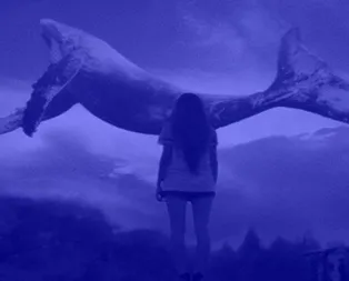 Bakanlıktan kritik ’Mavi Balina’ uyarısı