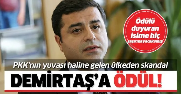 O ülkeden Selahattin Demirtaş'a cesaret ödülü!