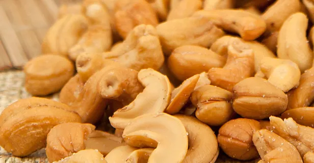 Kaju nedir? Kaju bitkisi nerede yetişir?