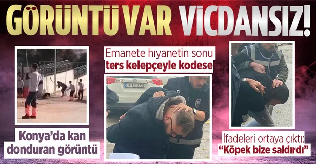 Konya'daki hayvan barınağında çekilen skandal görüntü: 2 şüpheli tutuklandı! Canilerin ifadesi ortaya çıktı