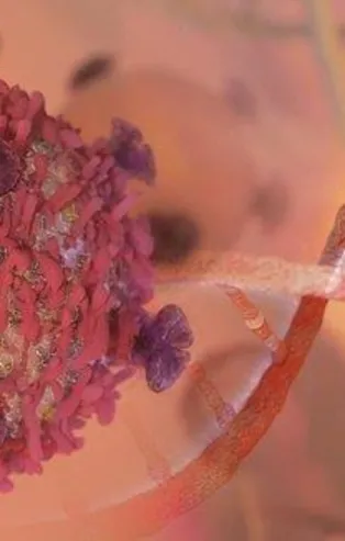 Kansere karşı önlem alın