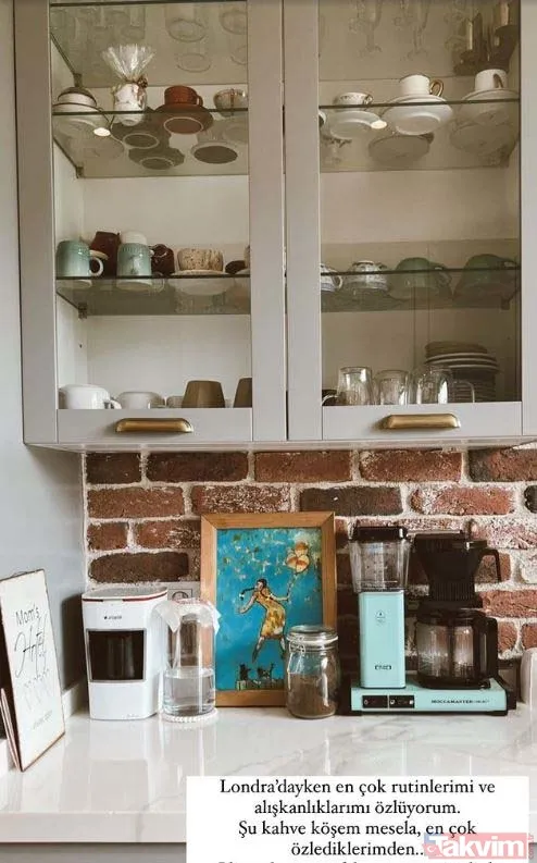 Halit Ergenç ile Bergüzar Korel’in evinde işler karıştı! 14 yıl önce evlenmişlerdi! “Ergenç’lerin doğal yaşamına şahit oluyorsunuz” - 36