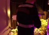 Mersin'de uyuşturucu operasyonu