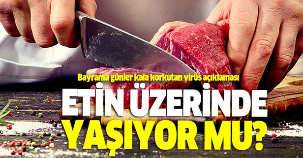 Koronavirüs etin üzerinde yaşayabilir mi? Kurban Bayramı'na sayılı günler kala uzman isimden korkutan açıklama