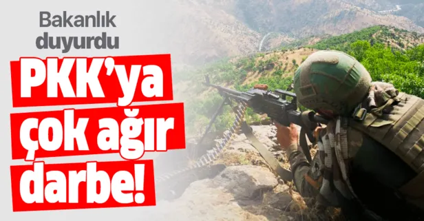 Bakanlık duyurdu! Şırnak'ta PKK'ya ağır darbe