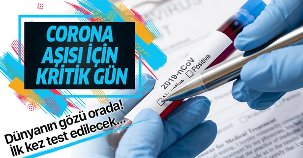 Coronavirüs aşısı için kritik gün: ABD'de ilk kez test edilecek