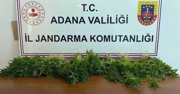 Adana’da uyuşturucu operasyonu! Tarla İyi Partili meclis üyesi Fatih Gider’in çıktı