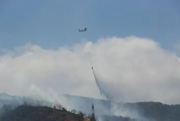 Hatay’da orman yangını