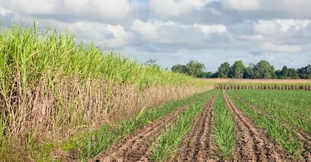 Arsa satışları yüzde 20 arttı