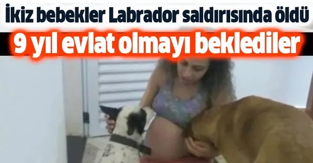 İkiz bebekler Labrador saldırısında öldü