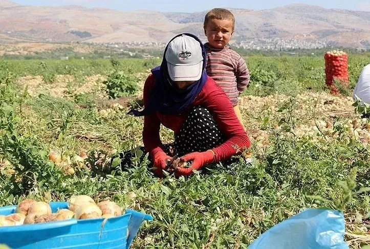 Resmi Gazete’de yayımlandı!