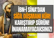 O sebzenin suyunu tuzla karıştırın ve siğile sürün! Gözlerinize inanamayacaksınız! İbn-i Sinanın SİĞİL KÜRÜ
