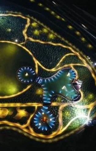 İstanbul 5 millet bahçesine kavuşuyor