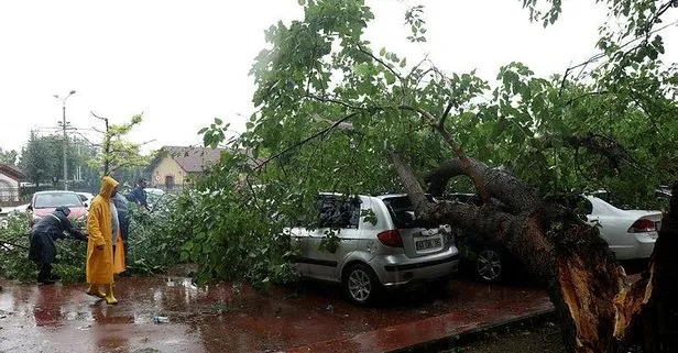 Kocaeli’de şiddetli yağış! Ağaçlar otomobillerin üzerine devrildi