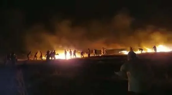 Şanlıurfa Ceylanpınar'da tarım arazisine düşen yıldırım, 10 bin dönüm ekini kül etti-1