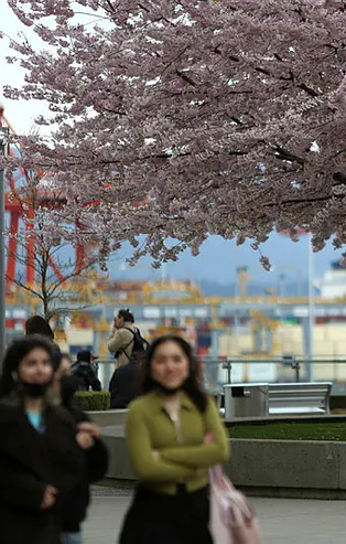 Kanada'da yüksek yaşam maliyetleri tersine göç eğilimini artırdı