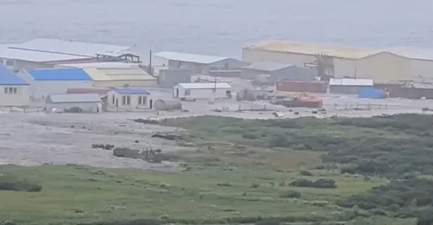 Rusya’daki depremin ardından tsunami alarmı! Balinalar kıyıya vurdu halk çatılara sığındı | Dalgalar Kaliforniya'ya ulaştı