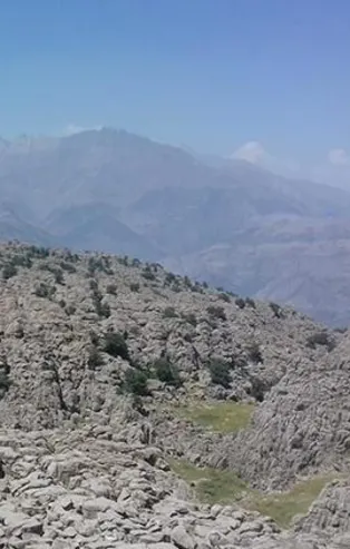 Terör örgütü PKK'dan hain saldırı