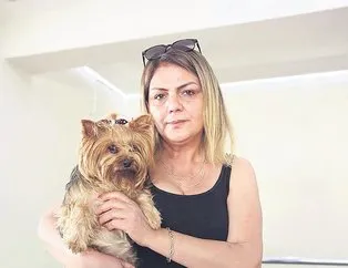 Çileme bakın!