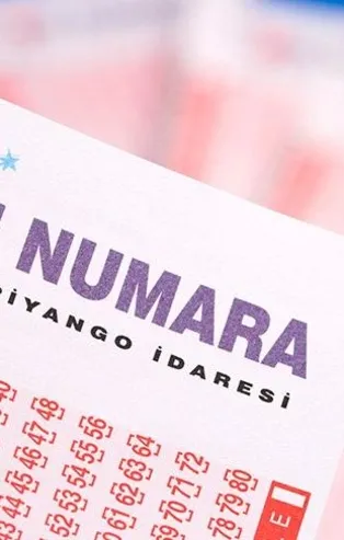 On Numara çekiliş sonucu sorgulama ekranı! 19 Kasım On Numara çekilişi kazandıran numaralar hangileri? Büyük ikramiye...