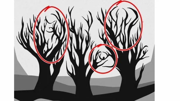 50-kisiden-49u-basarisiz-oluyor-resimdeki-3-hayvani-ancak-bir-dahi-saniyede-bulabiliyor-1700569577589.jpg 50 kişiden 49'u başarısız oluyor! Resimdeki 3 hayvanı ancak bir dahi saniyede bulabiliyor-6