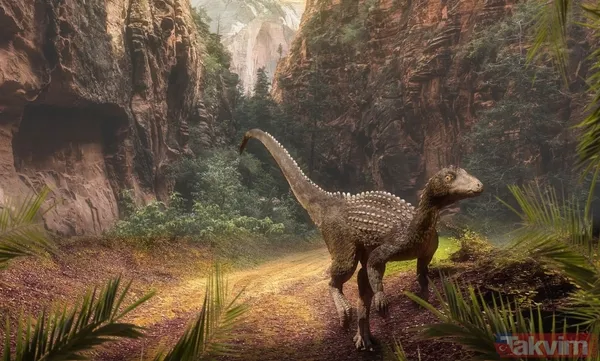 230 milyon yıldır oradaydı! Meğer evrenin en eski... - 7