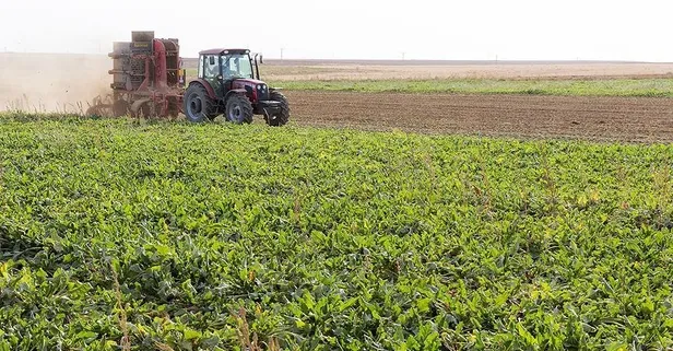 Devlet düğmeye bastı! Tarımda yeni önlem: Ekilmeyen tarla kiralanacak