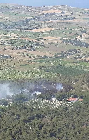 Son dakika: Bozcaada'da ormanlık alanda yangın!