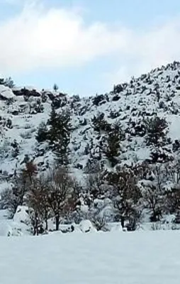 Mehmet Kanatsız arazide ölü bulundu