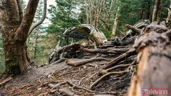 Uçak kazaları neden olur, önlemek mümkün mü? Uzmanlar yanıtladı! - 11