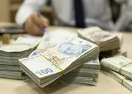 1000 TL yardım parası e-Devlet başvuru sorgulama ekranı