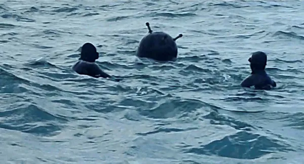 karadenizde-mayin-riskine-karsi-teminat-sigorta-kapsamina-alinacak-1649560187955.jpg Karadeniz'de mayın riskine karşı teminat! Sigorta kapsamına alınacak-4