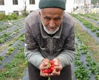 Bahçesindeki ürünleri ikram ediyordu! 85 yaşındaki İbrahim Çakmakçı’dan acı haber