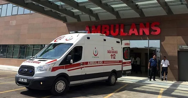 Dal kesmek için çıktığı ağaçtan düştü hayatını kaybetti