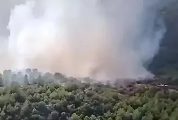 İzmir’de orman yangını!