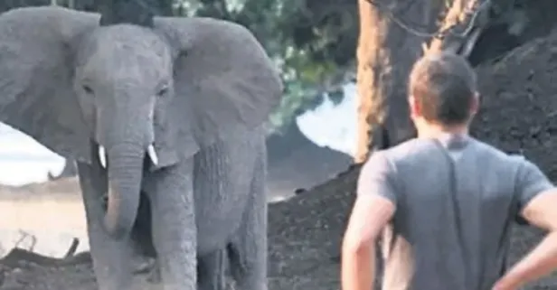 Safari tesisinde feci son: Ceo hayatını kaybetti