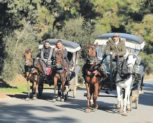 Büyükadada dörtnala yasağa