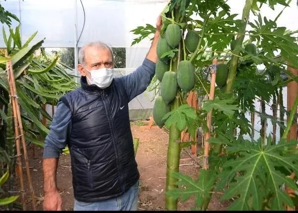 Paraya para demiyor! Bir sezonda kazandığı para dudak uçuklattı! İspanya'da tadına baktı Mersin'e getirdi!-5