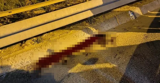 Ümraniye Şile Otoyolu'nda korkunç kaza! Kamyon sürücüsü aracından indi arkadan gelen araç çarptı