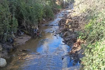 Bakanlık cezayı kesti! İzmir Büyükşehir Belediyesi’nden Körfez’e çamur dereye atık su | Kirlilik ve balık ölümlerine soruşturma