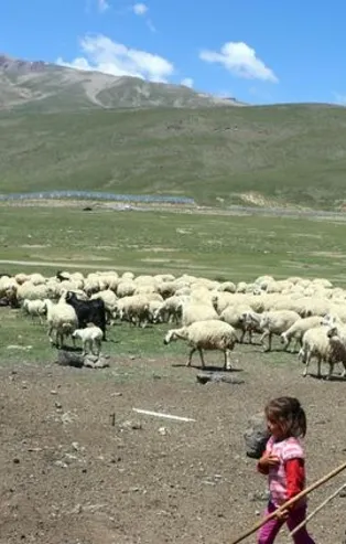 4 bin lira maaşı var ama eleman bulunmuyor...