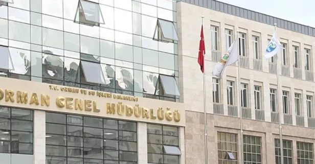 520 kamu personel alımı yapılacak! İşte başvuru şartları