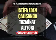 Detaylar netleşti! 48, 49, 52, 53 ve 54 yaşında emekli olun! İstifa eden çalışana tazminat ödeniyor!