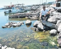 Körfez alarm veriyor! Tunç Soyer’in vaatleri elinde patladı İzmir halkı isyan etti