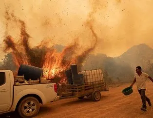 Brezilya’daki yangınlarda kayıp çok büyük!