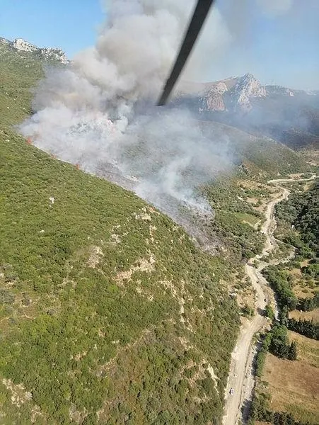 İzmir'de bir yangın daha! Bu sefer de Karaburun ilçesi alevlere teslim oldu-2