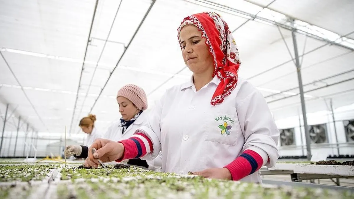 Sinirlenmek istemeyen fesleğen yesin